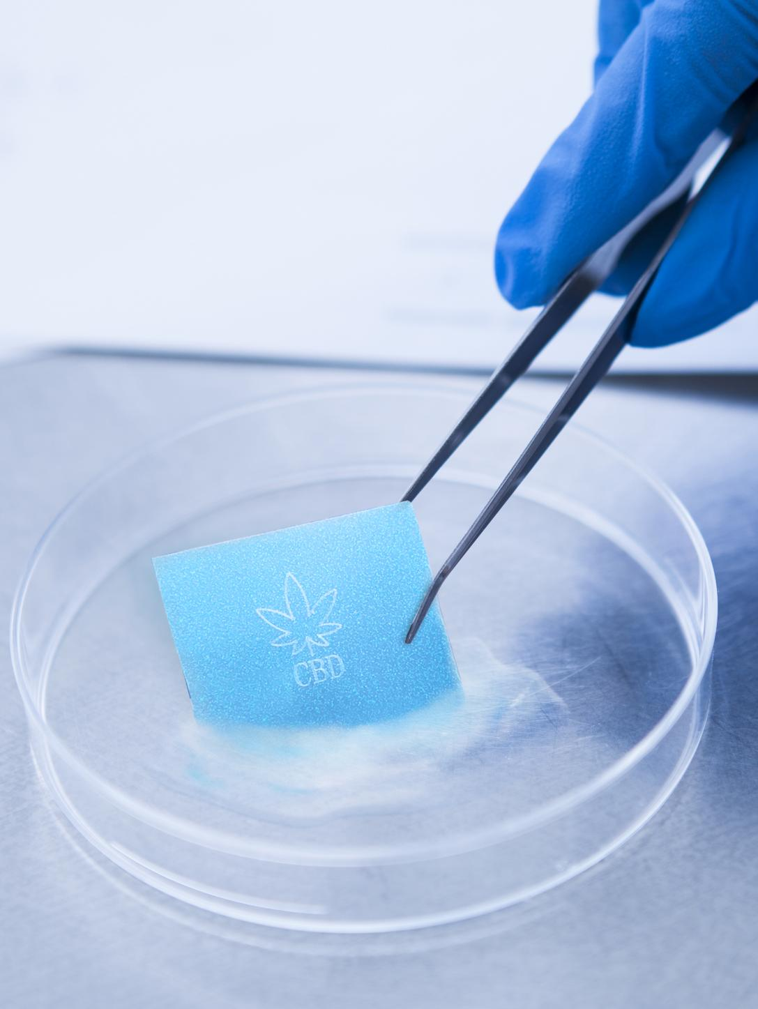 What role does CBD play in the field of pet products?